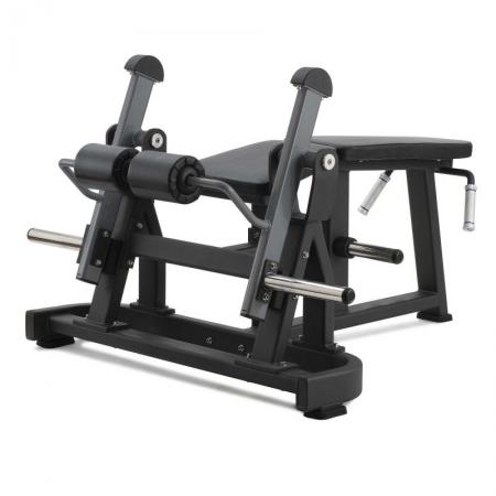 DIAMOND SERIE 300 - LEG CURL